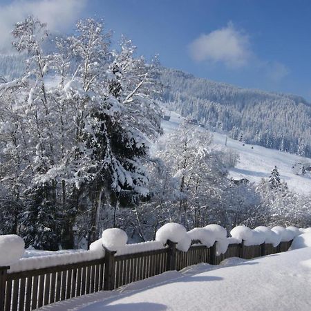 Alpbach Loft Apartment Exterior foto